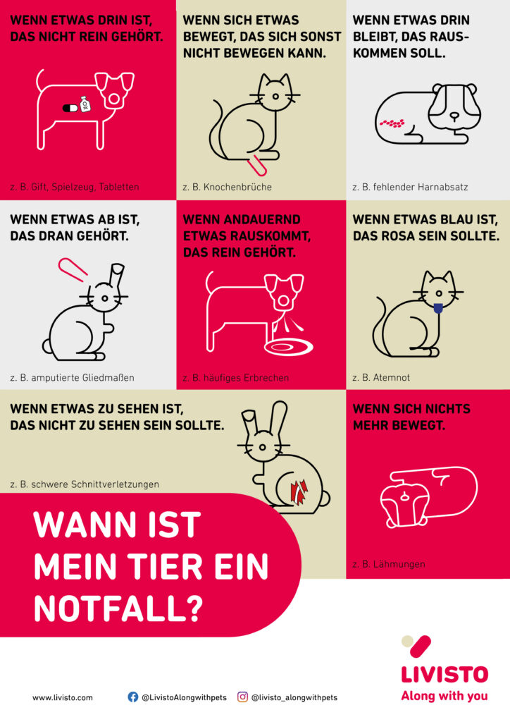 48- Wann_ist_mein_Tier_ein_Notfall_Poster_Livisto