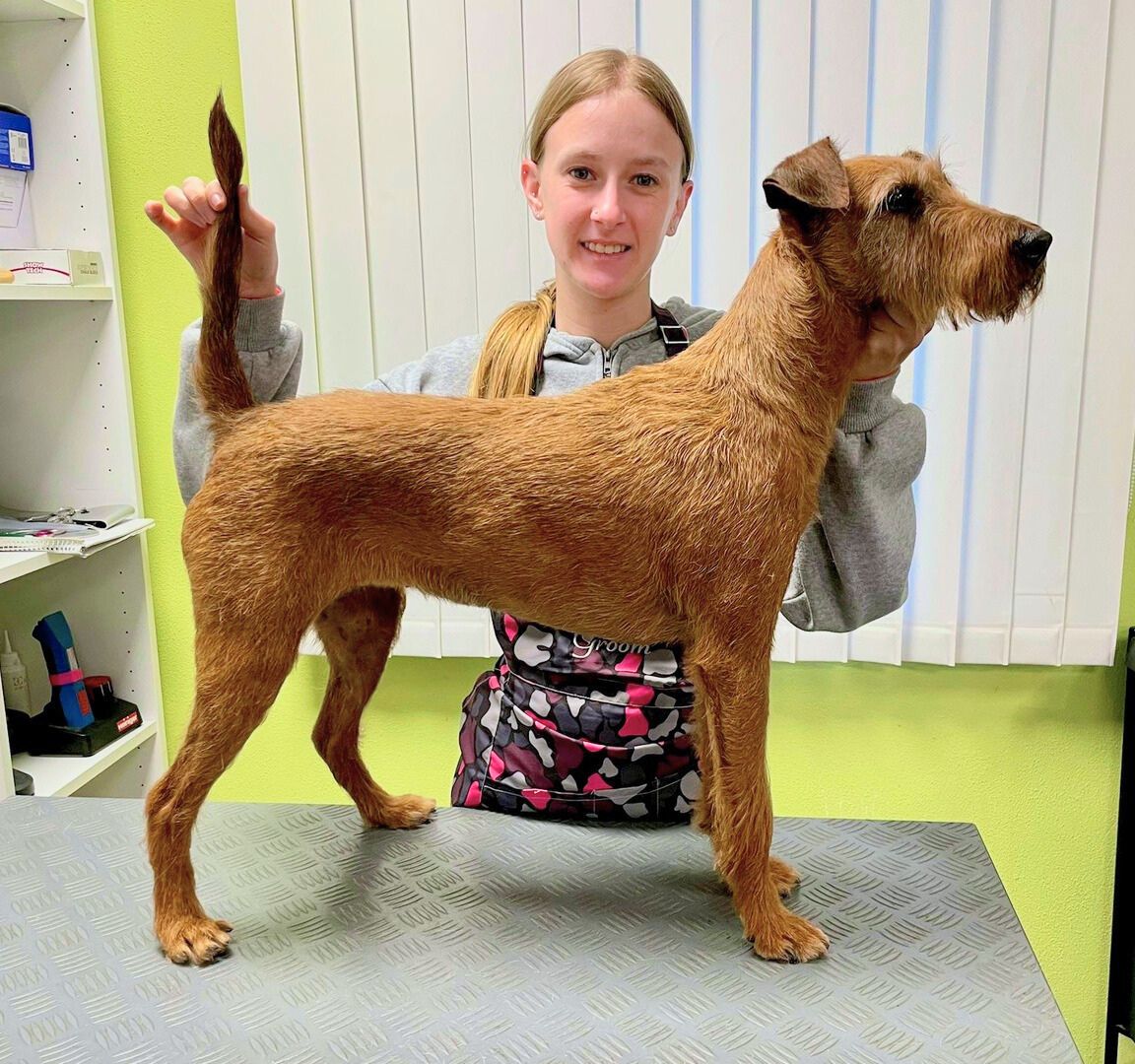 51-Tierfriseurin-Tierärzte Weikersheim