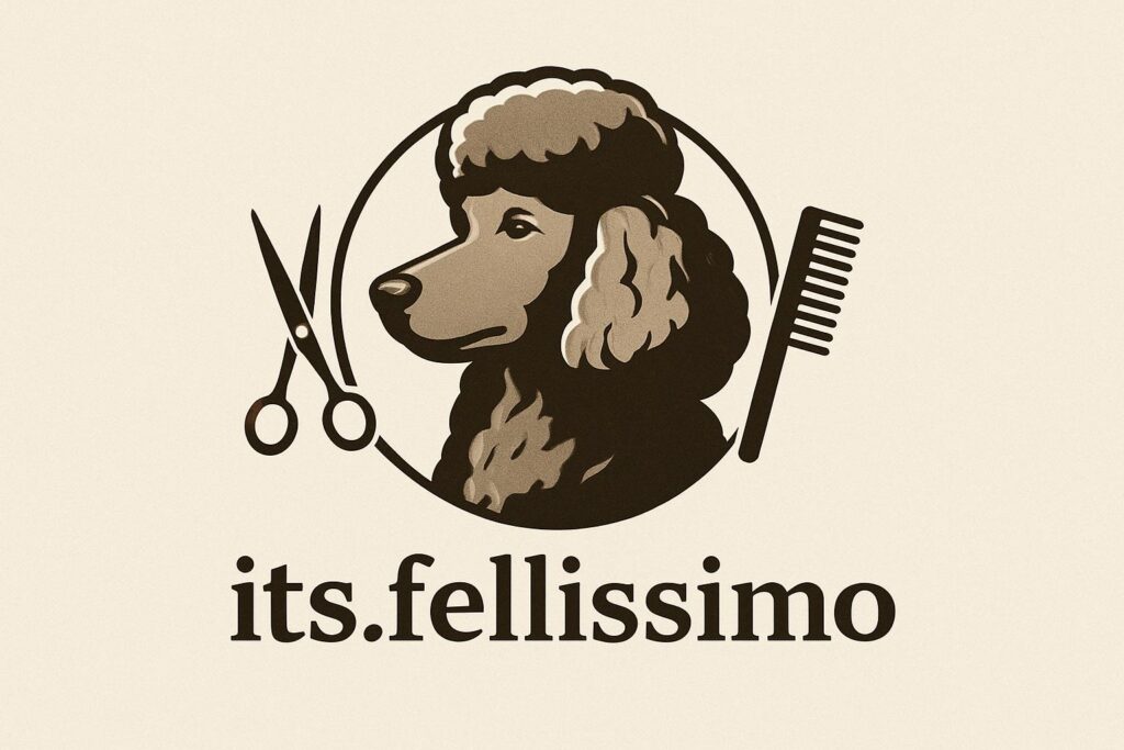 Its.fellissimo Logo Its.fellissimo Logo
